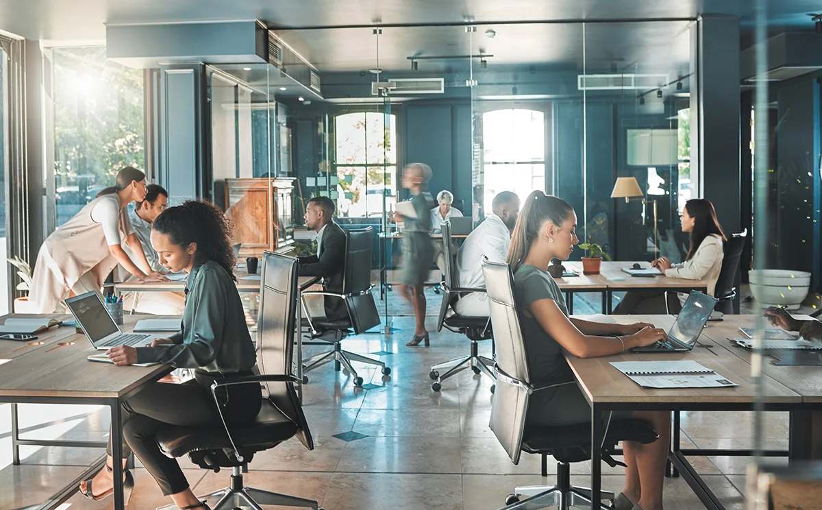 A group of office employees working at their computers in a modern building